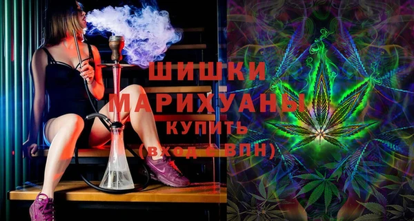 гидра Алексин
