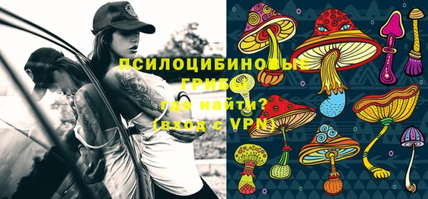 стаф Абдулино