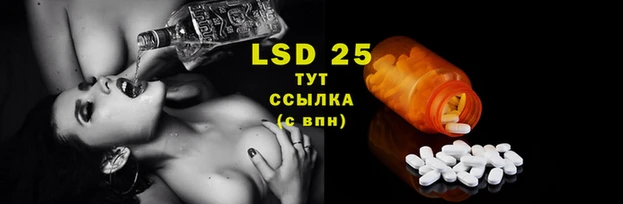 стаф Абдулино