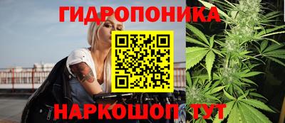 ПСИЛОЦИБИНОВЫЕ ГРИБЫ Северобайкальск
