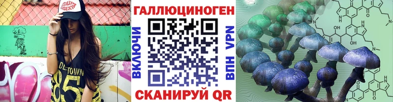 Галлюциногенные грибы Psilocybe где купить наркотик нарко площадка наркотические препараты Ярославль