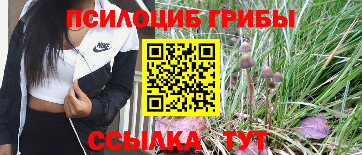Галлюциногенные грибы Magic Shrooms Ярославль