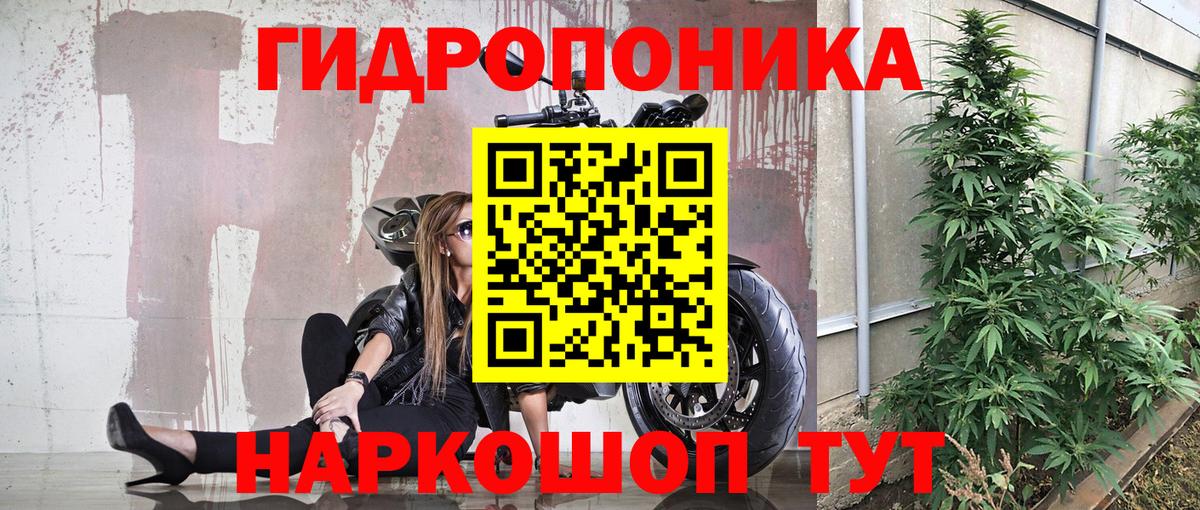 Канабис марихуана Ярославль